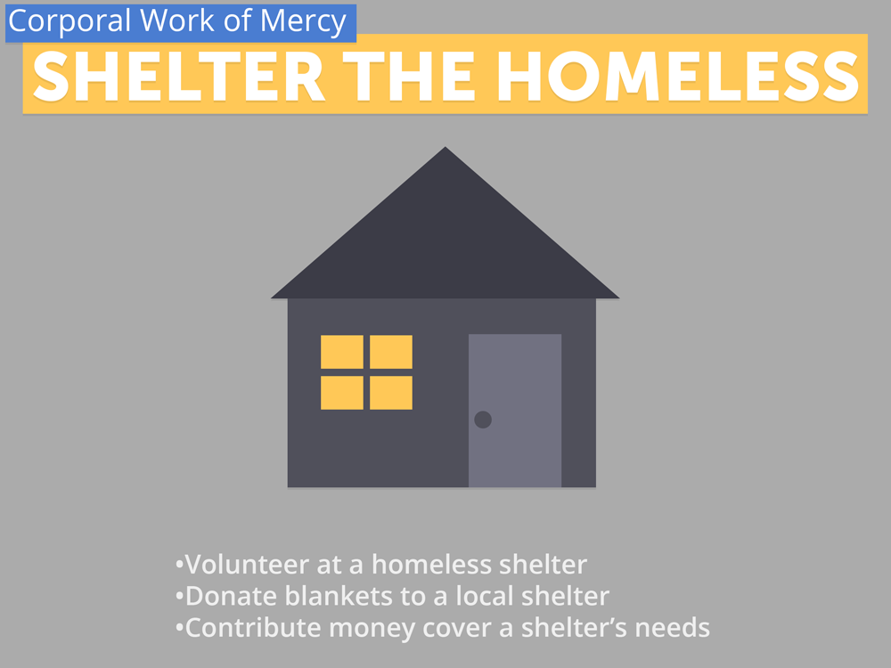 Shelter the Homeless