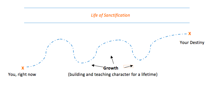 Life of Sanctification Graph