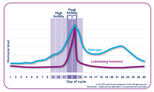 Fertility cycle graph